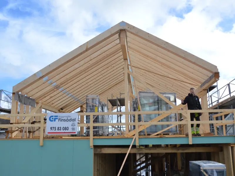 Nybygg enebolig — grunnstruktur